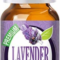 Lavender Essential Oil - 100% Pure Therapeutic Grade by Healing Solutions Essential Oil - 10ml