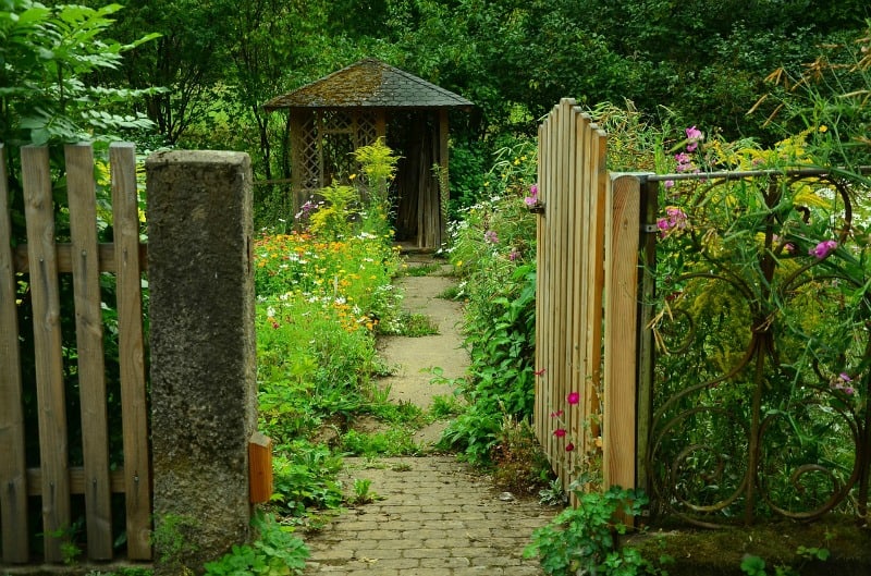 a rustic garden gate