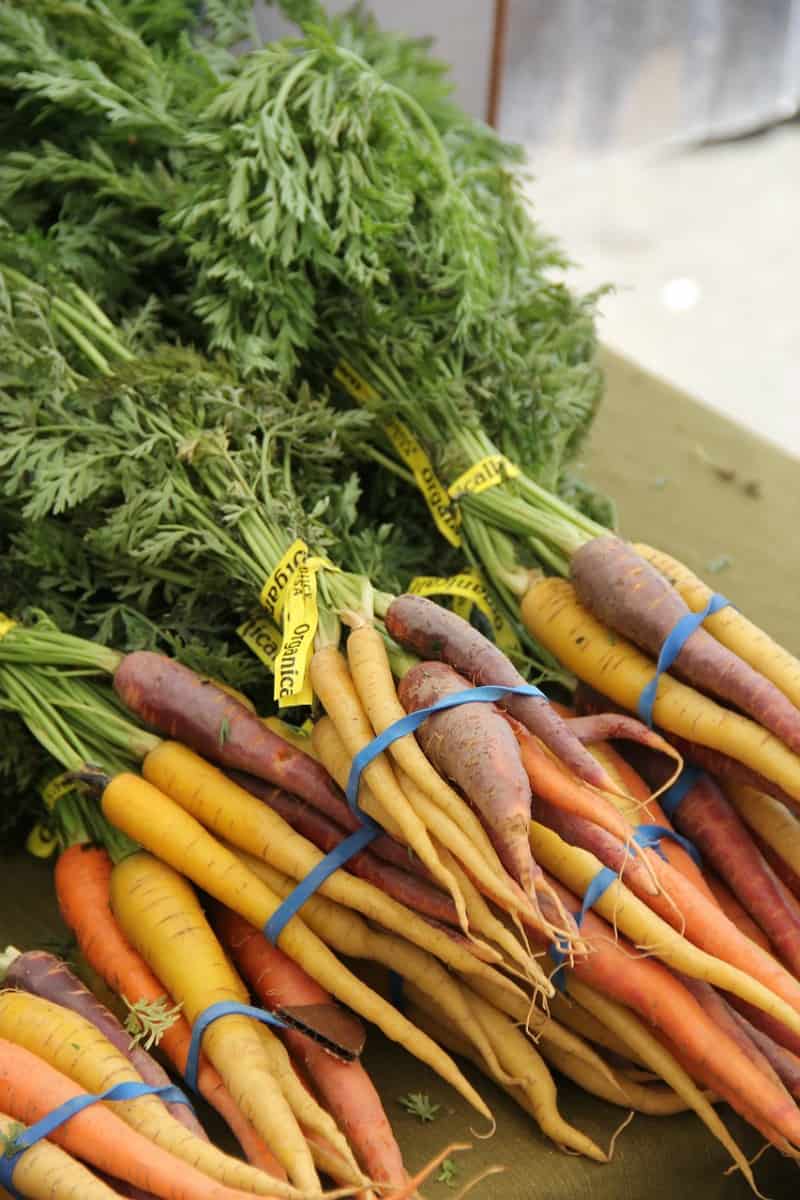 Cold-Weather Crops for a Cool Vegetable Garden This Fall