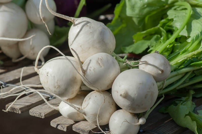 a bunch of white turnips