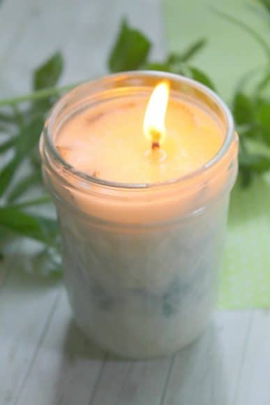 DIY Soy Candle Tutorial with Fresh Lavender and Mint