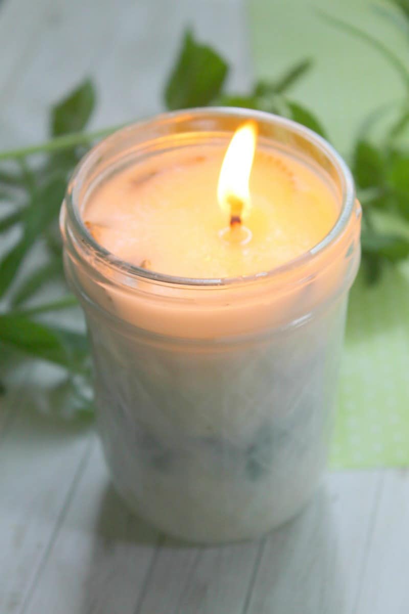 DIY Soy Candle Tutorial with Fresh Garden Herbs