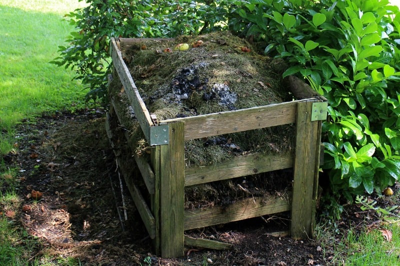 a compost bin