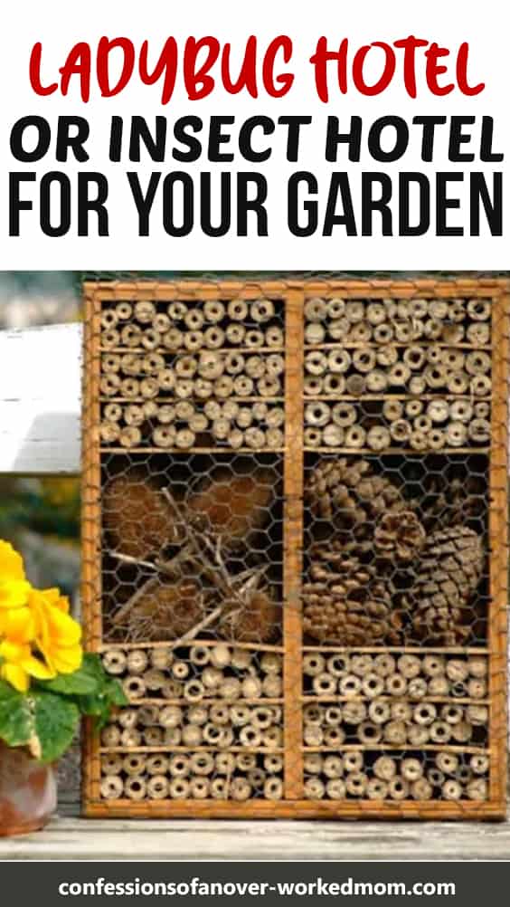Ladybug Hotel or Insect Hotel for Your Garden