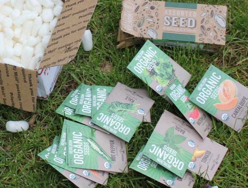 organic heirloom seed packets on the ground