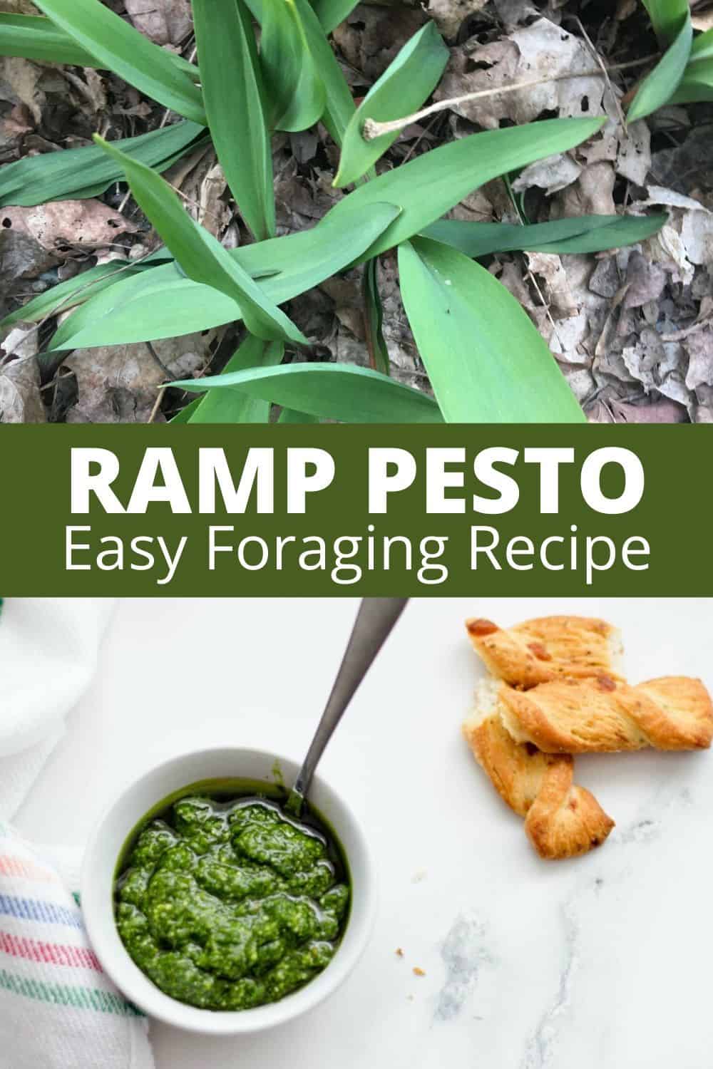Ramp Pesto Recipe and Freezing Tips for Storage