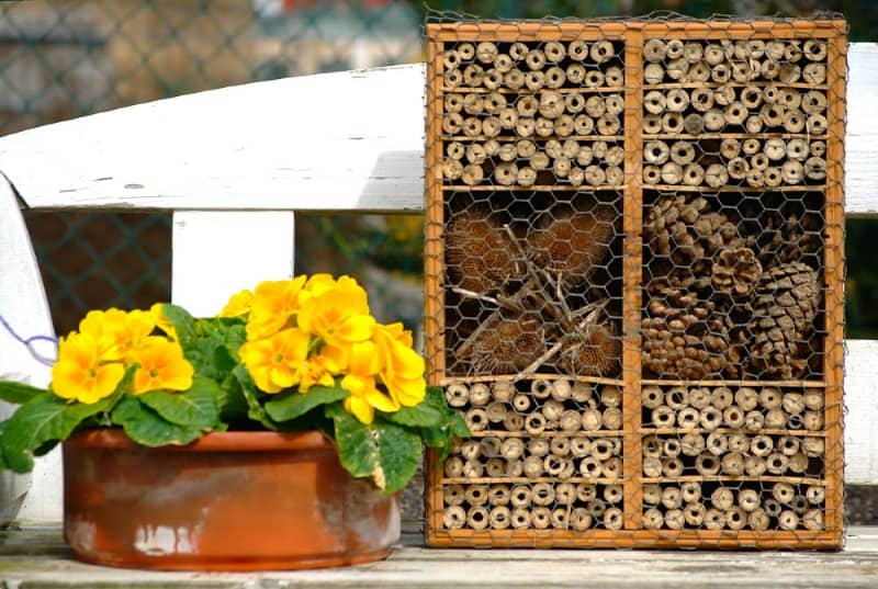 an insect hotel on a white bench with yellow flowers