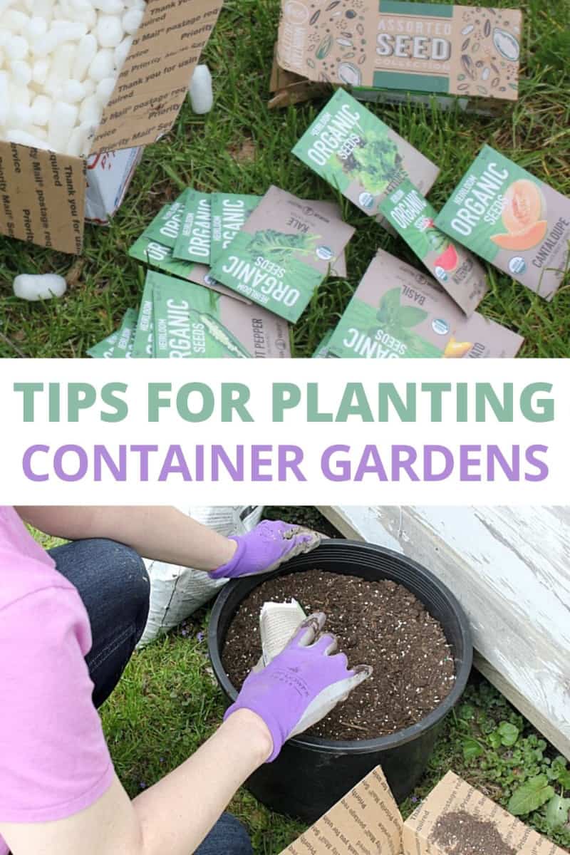 Container Garden Drainage Tips for Vegetables