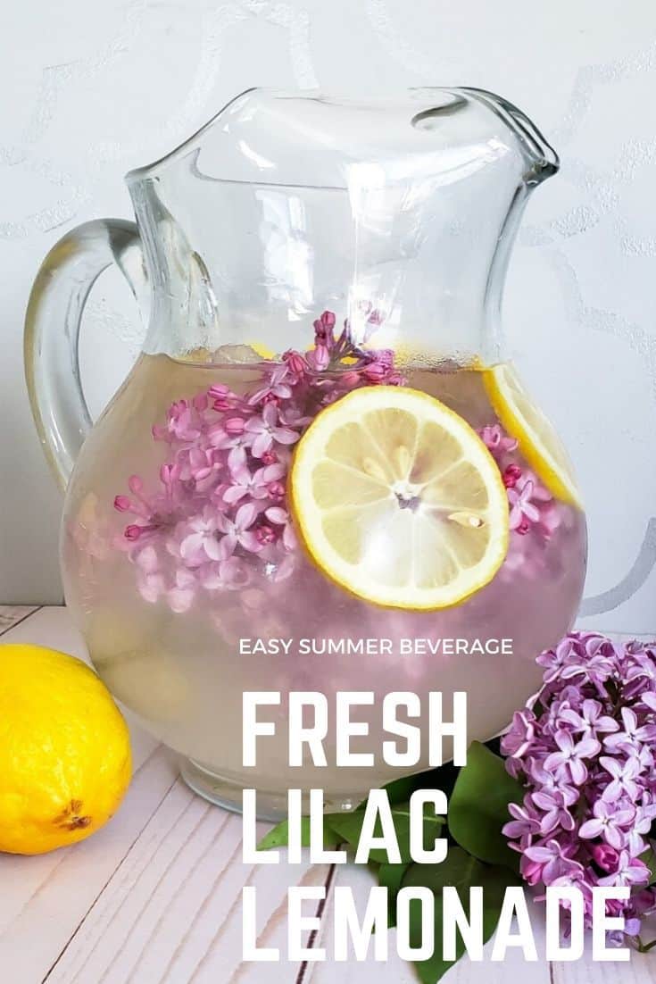 Easy Lilac Lemonade Recipe With Fresh Lilacs