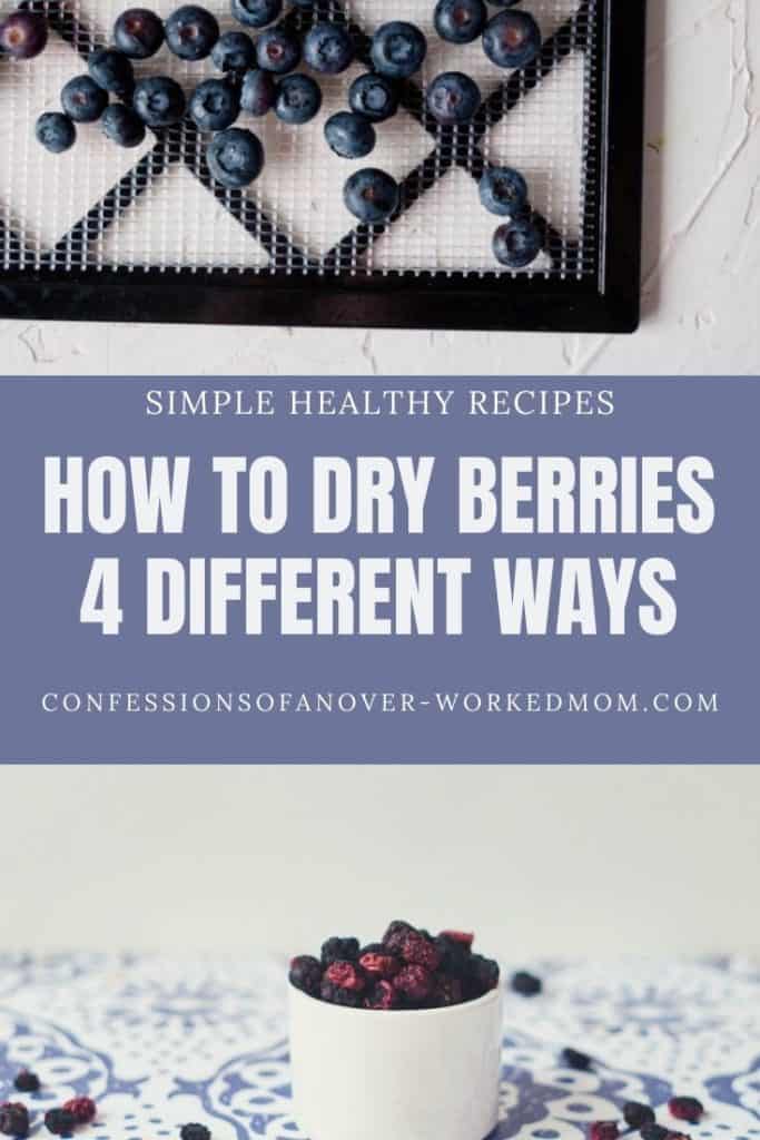 How to Dry Blueberries in the Dehydrator (and other methods)