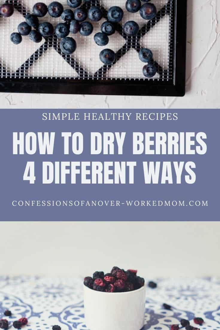 Learn how to dry blueberries in the dehydrator so you can preserve blueberries. Get everything you need to know to start dehydrating blueberries here.