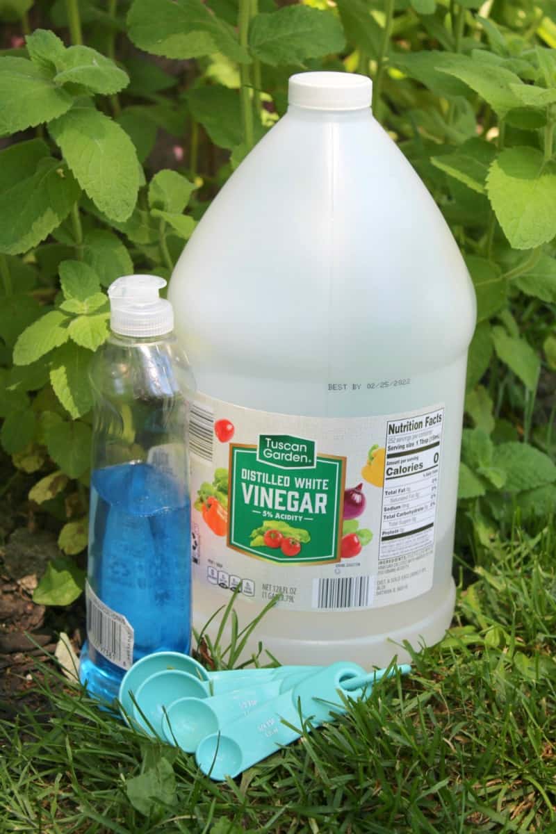 vinegar, blue dish liquid, and teaspoons in the grass