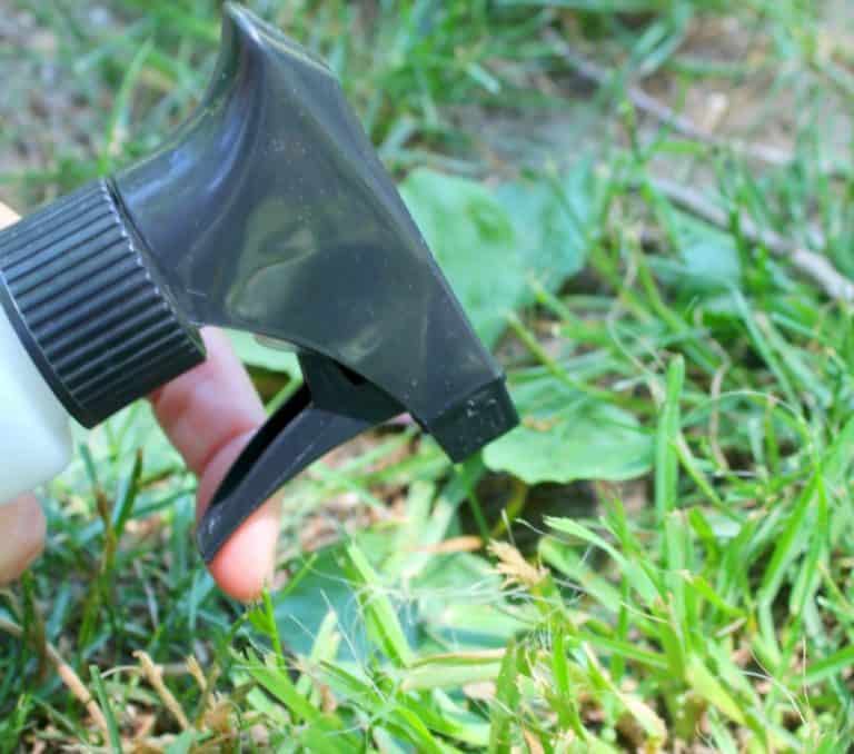 Quackgrass Killer Recipe That is Pet Safe and Effective