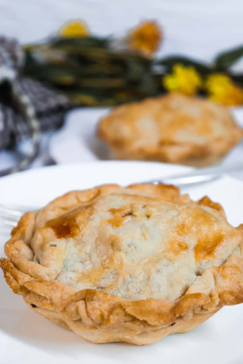 You are going to love this Venison Pot Pie recipe!  It's a family favorite. Try this easy venison meat pie the next time you have wild game to use up.