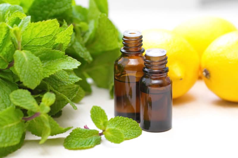 lemon and peppermint essential oils for sneezing