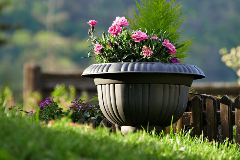 a round planter filled with pink flowers