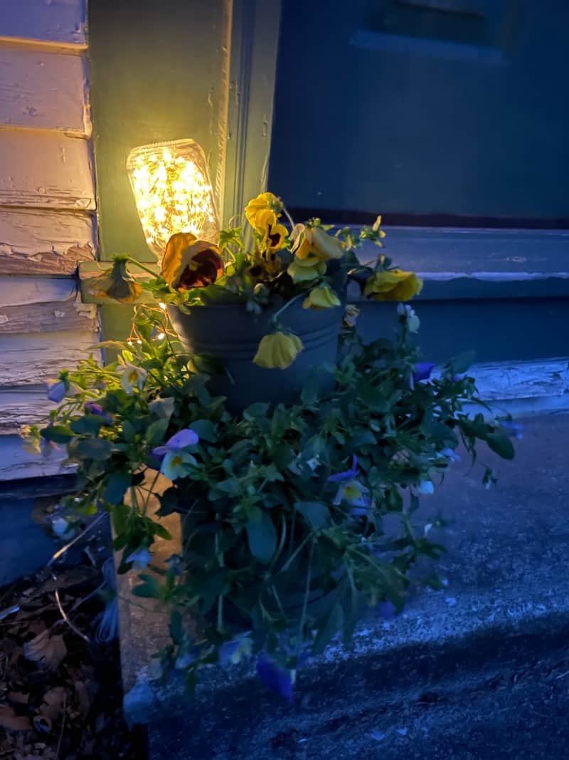 a pot of flowers with solar lights in it