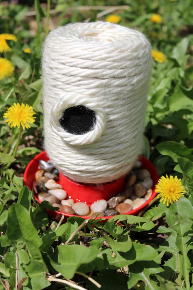 If you're looking for a DIY bee feeder, try this homemade bee feeder project to attract more pollinators to your yard or your garden.