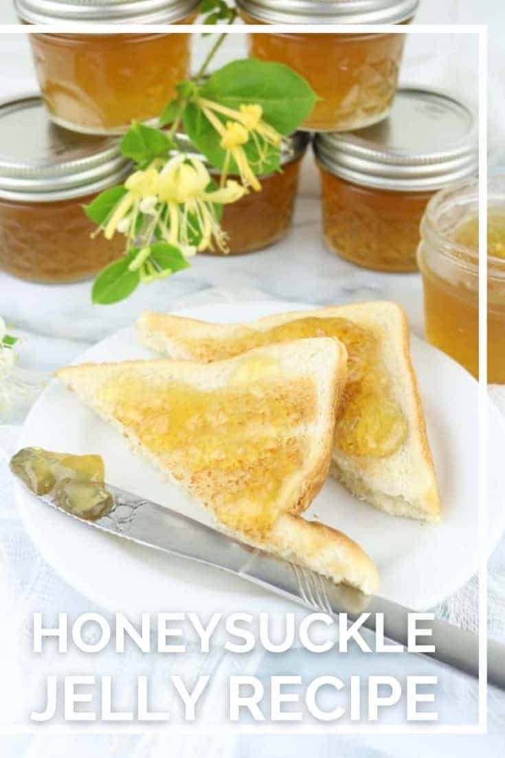 Check out this Honeysuckle Jelly Recipe! Find out how to make honeysuckle jelly and other honeysuckle uses you may not know about.
