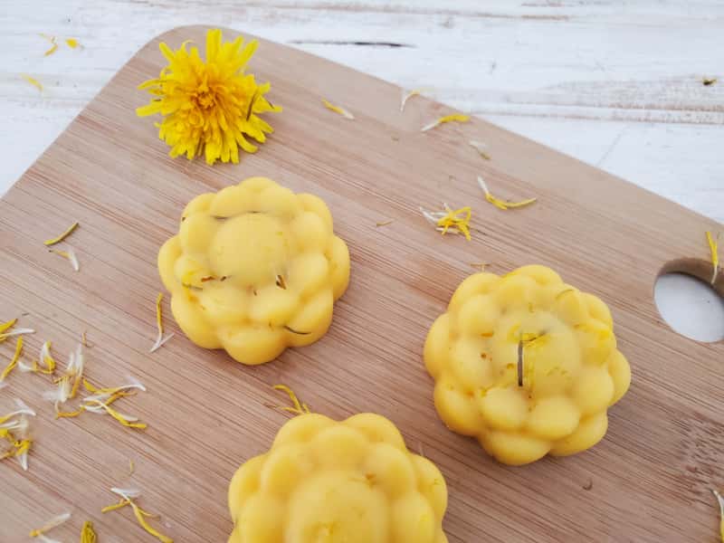 Check out this simple Dandelion Lotion Bar DIY you can make. Learn how to make lotion bars with dandelion oil to soothe dry chapped skin naturally.