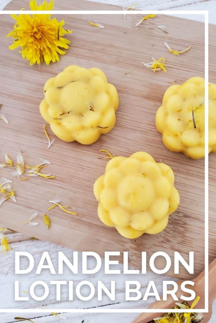 Check out this simple Dandelion Lotion Bar DIY you can make. Learn how to make lotion bars with dandelion oil to soothe dry chapped skin naturally.