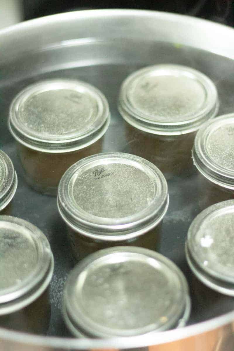canning jars in a large pot with water