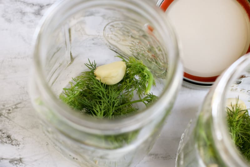 dill and garlic in a canning jar