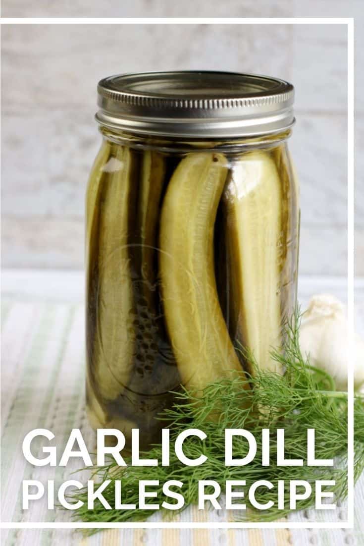 Store-bought pickles are full of preservatives, and they don't taste as good as homemade. That's why these homemade garlic dill pickles are a favorite!