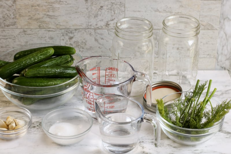 tools and ingredients to make homemade dill pickles with garlic