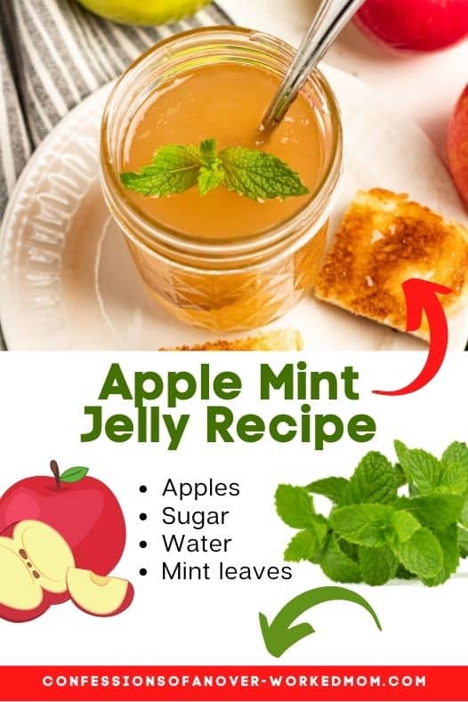 I love apples, but sometimes it's hard to find a recipe that uses up all of the apples. Make this Apple and Mint Jelly recipe for a delicious fall taste.