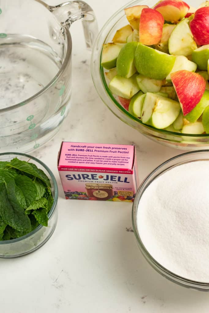 Apple and Mint Jelly Recipe Confessions of an Overworked Mom