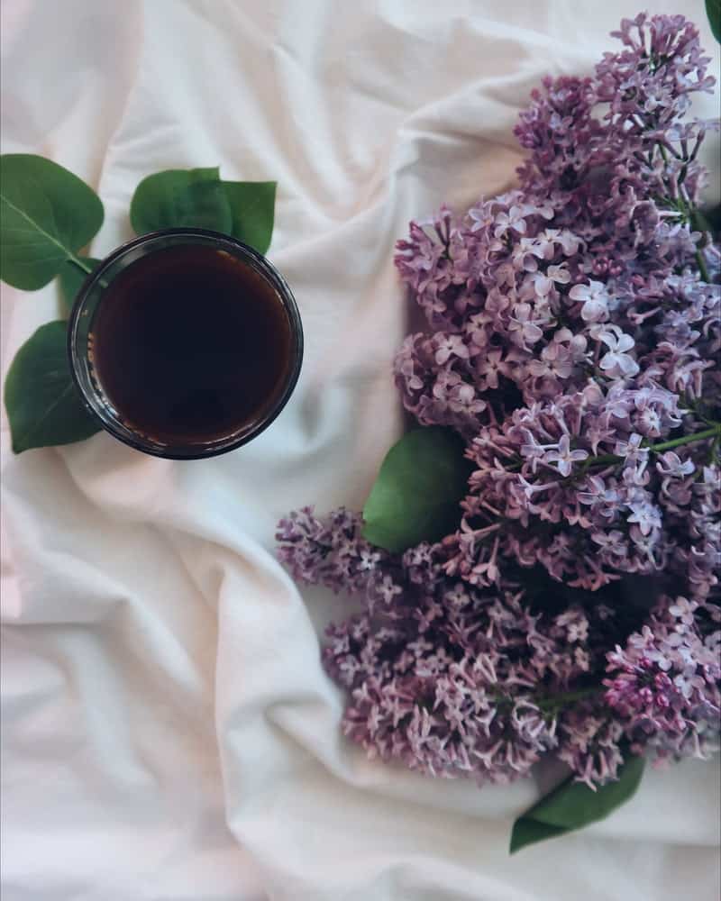 lilac blossoms near a cup of tea
