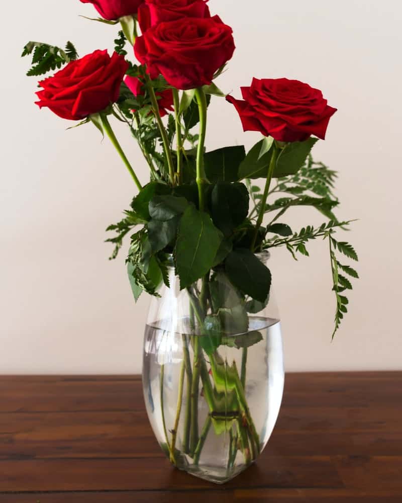 red flowers in a clear vase
