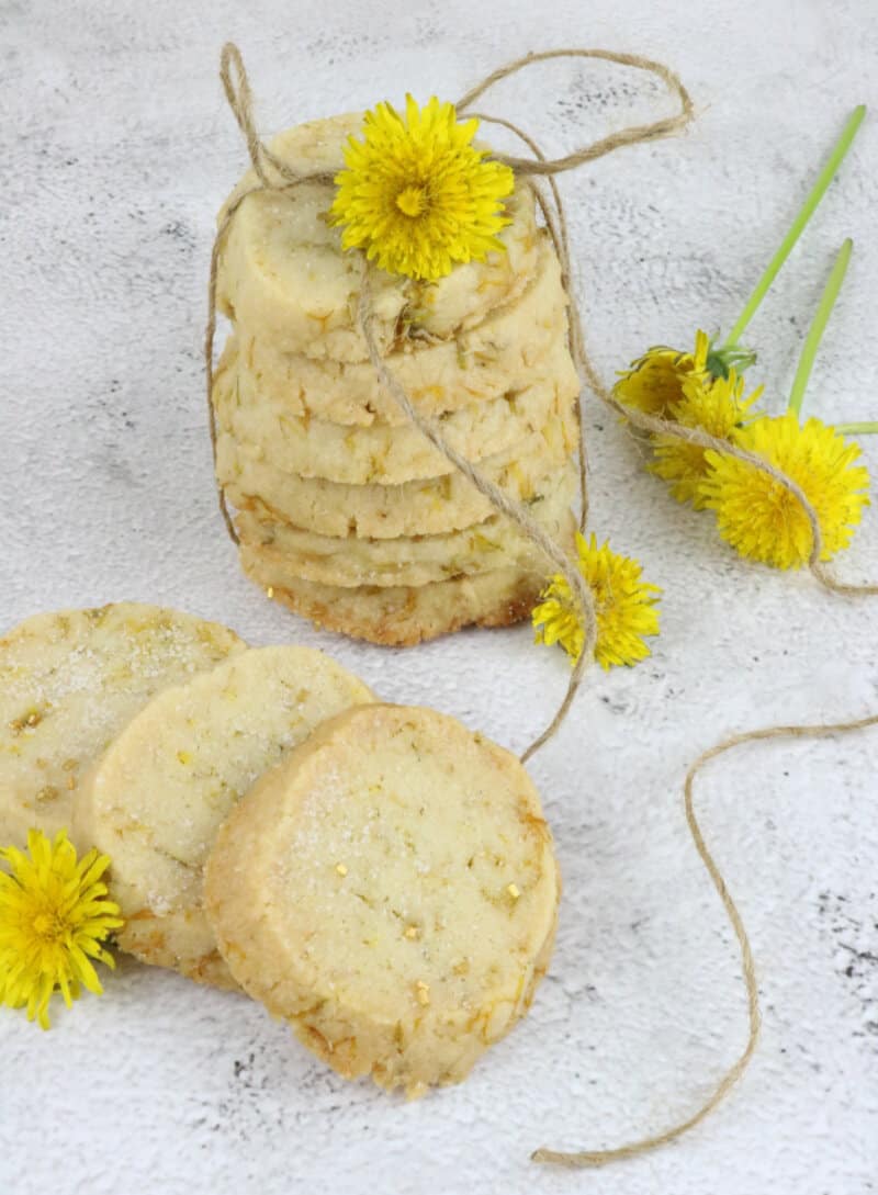 Try this dandelion cookies recipe today! If you enjoy shortbread cookies, this is one of my favorite dandelion recipes to use those pretty yellow flowers in your yard.