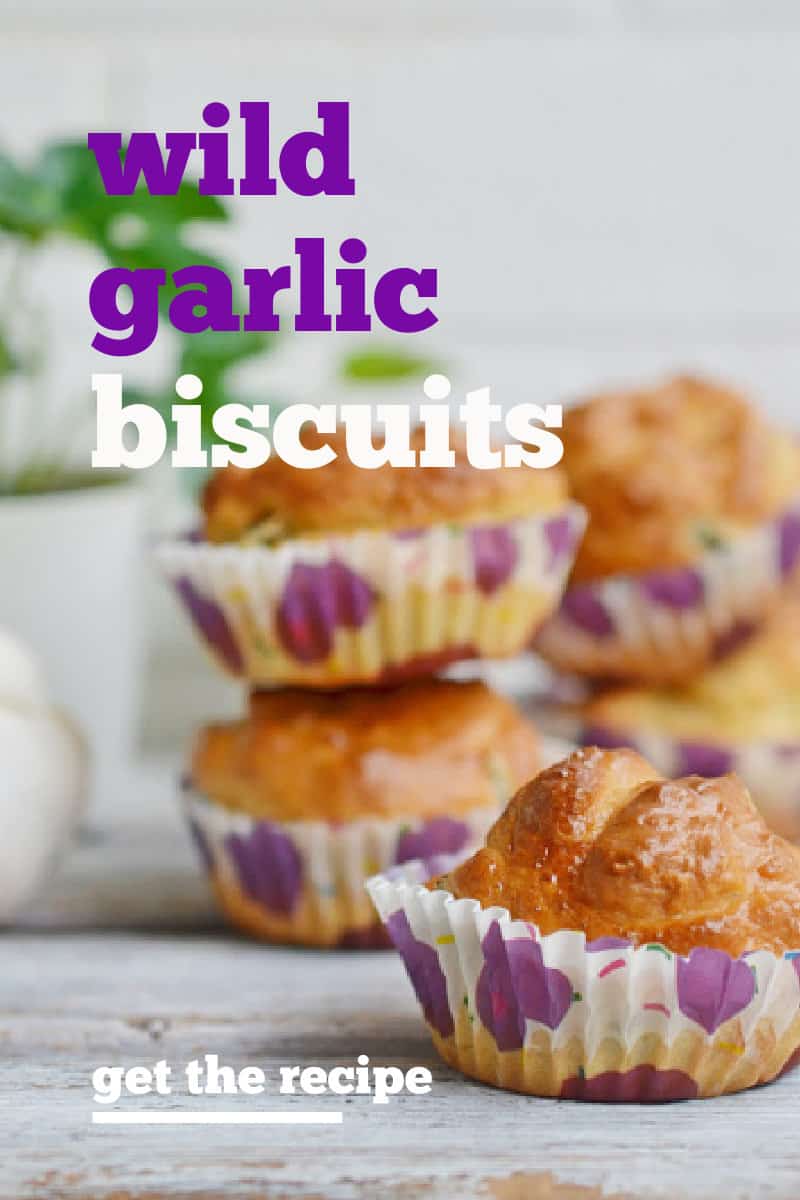 If you're looking for foraging recipes, try these Wild Garlic Biscuits. Using wild edible plants when you cook can help you keep your grocery budget in check.