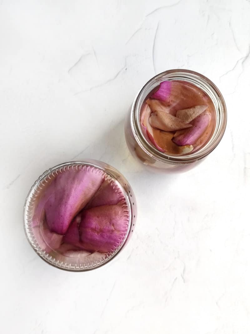 pickled magnolias in a jar