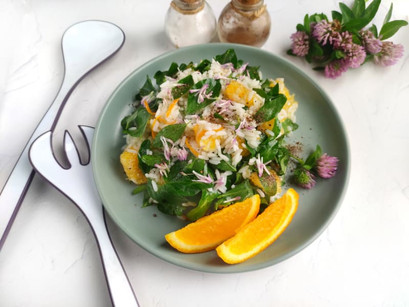 a plate with a fresh salad and orange slices