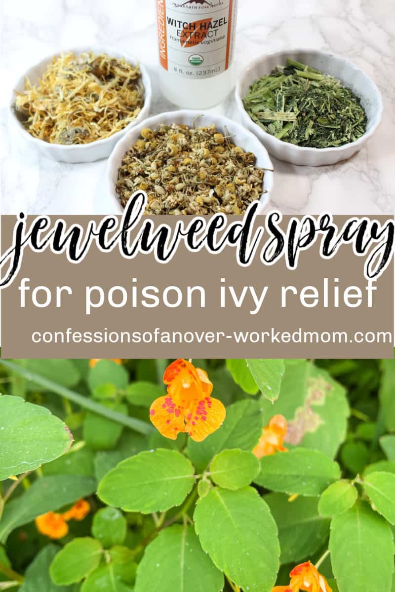 If you're curious about jewelweed uses, check out this jewelweed spray and find out more about foraging for jewelweed.