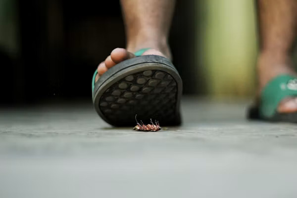 stepping on bug